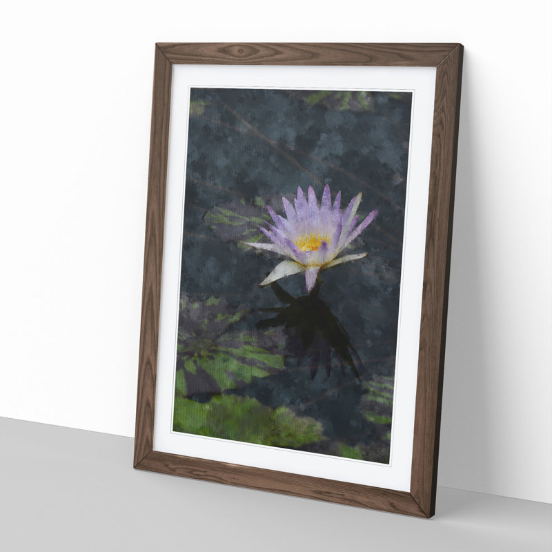 Pretty Water Lily - Framed Print, 36cm H x 27cm W x 2cm D, Walnut Framed