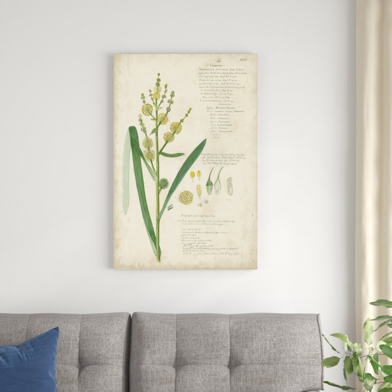 Descubes Botanical Grass IV, H 36 po x l 24 po x P 1,25 po