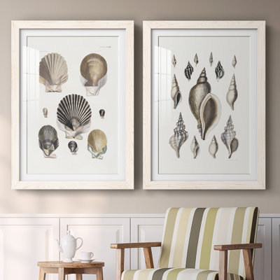 " Vintage Shell I " 2 - Pieces
