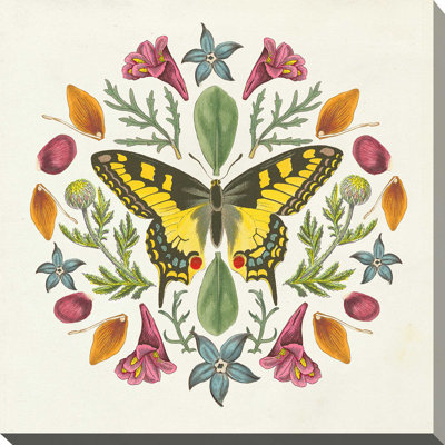 « papillon mandala iii », impression