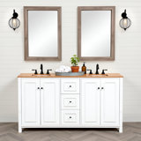 Williamsburg 60 Inch Double Sink Bathroom Vanity - Freestanding Cabinet Without Top - Large Soft-Close Wood Vanity by Alaterre Furniture (White)