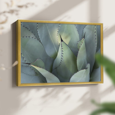 Blue Agave I -Framed Print - Restickable