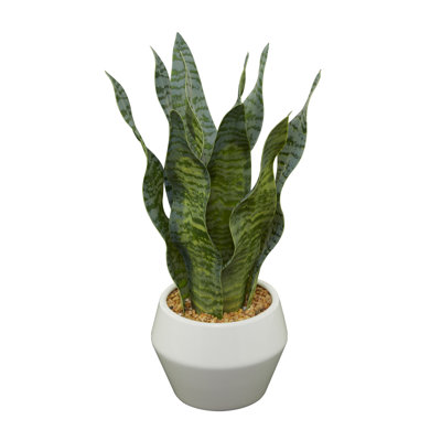 Decorative Object