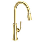 Stripling Single Handle Pull Down Kitchen Faucet