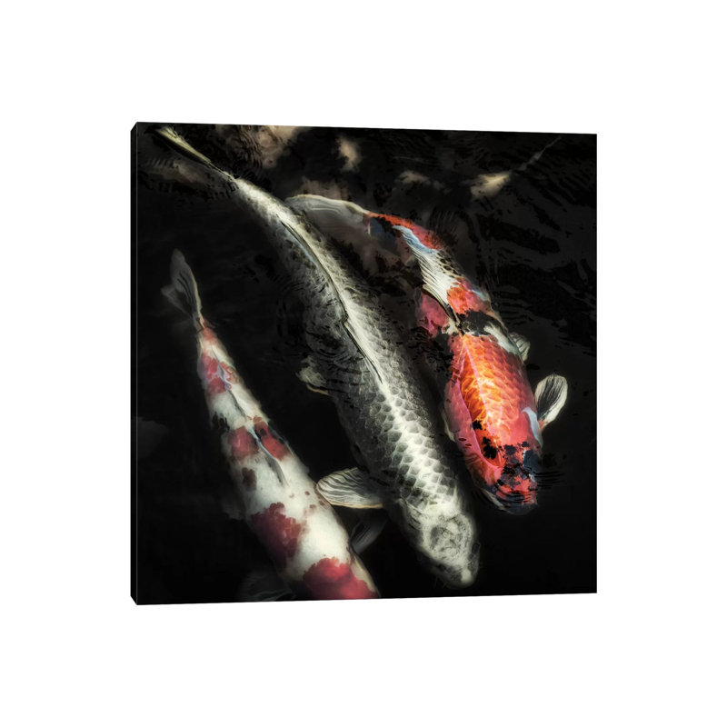 Don't Be Koi - Wrapped Canvas Gallery-Wrapped Canvas Giclée, 66.04cm H x 66.04cm W