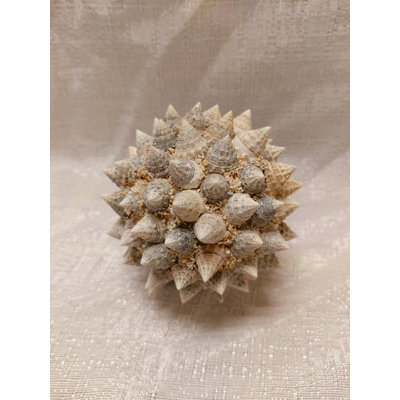 Sculpture boule de mer sea shell Licon