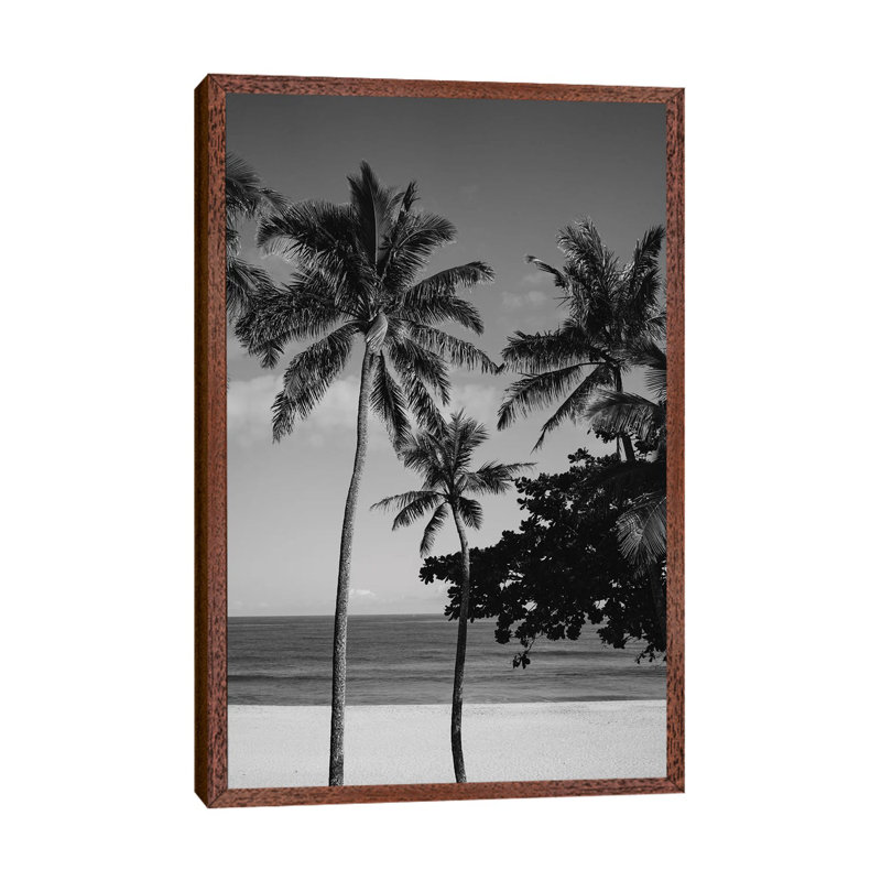 Hawaiian Palms V by Bethany Young - Print on Canvas, 66.04cm H x 45.72cm W x 3.81cm D, Classic Brown Wood Framed
