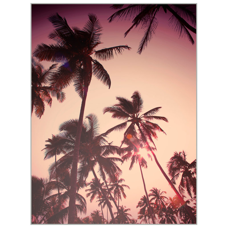 Dreamy Palms 1 Print by Mat Sanders