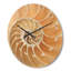 Horloge murale Nautilus-63618657