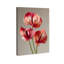 Crimson Silk Veins II Print by Oliver Gal-259465830-259465840