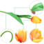 Bouquet de fleurs artificielles tulipe artificielle pour fête de mariage (ensemble de 25)-88160859