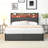 Bed Frame, Storage Headboard With Charging Station, Solid And Stable, Noise Free, No Box Spring Needed, Easy Assembly-1232959000