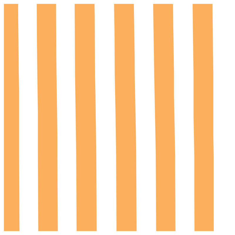 Orange Vertical Stripes Blankets, 50in W x 60in H