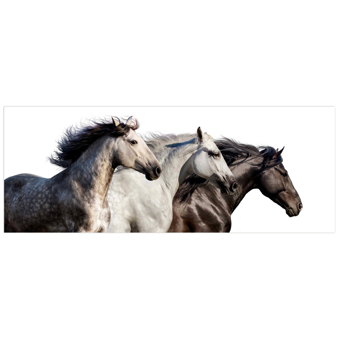 " Horse Trilogy 1 " Loon Peak®