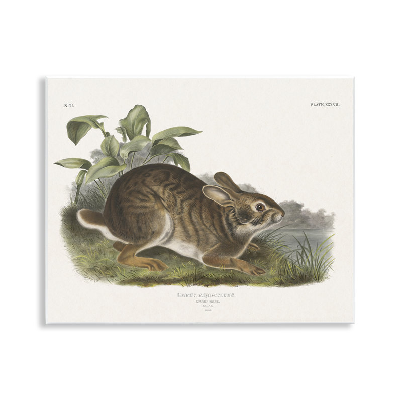 Art mural rétro "Vintage Hare Cottage" par Wild Apple Portfolio