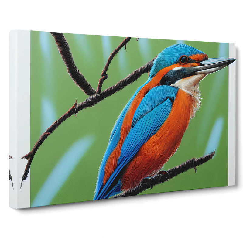 Radiant Kingfisher Bird - Wrapped Canvas Print, 40cm H x 60cm W x 3cm D