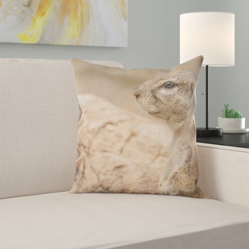 Housse et insert de coussin carré Gophers