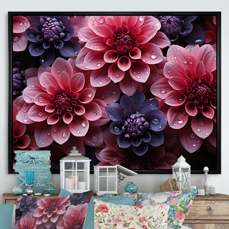 Majestic dahlia rose I - imprimé, Cadre flottant noir, H 34 po x l 44 po x P 1,5 po