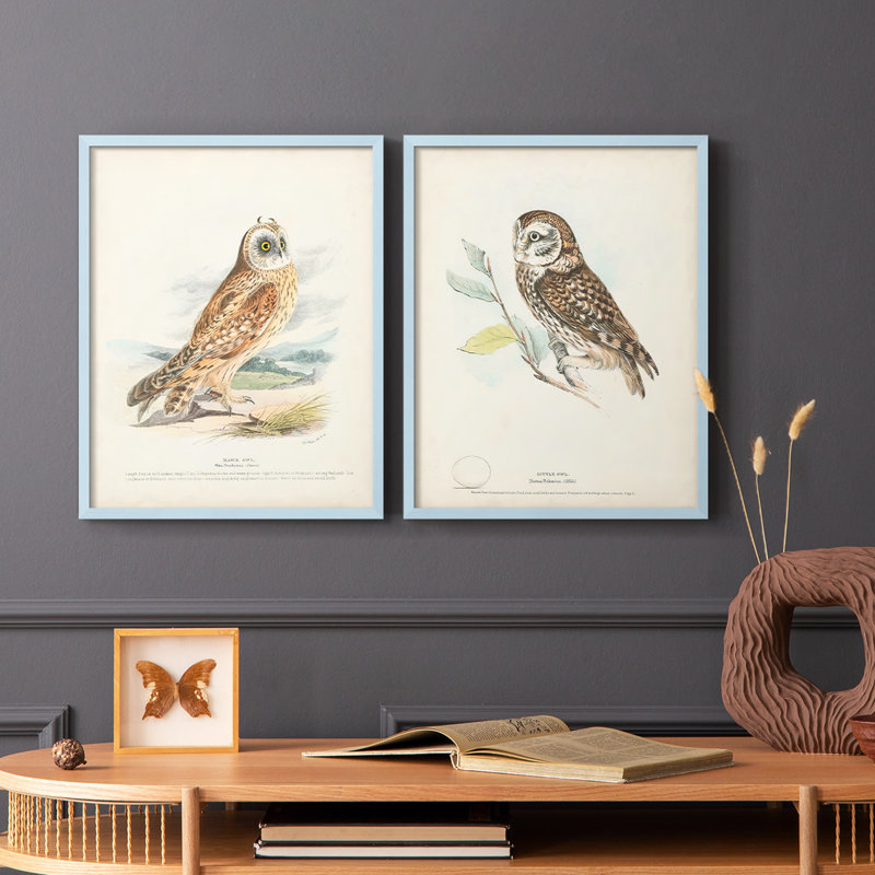 Hawk Owl - reproduction encadrée de qualité supérieure - prête à être accrochée - aucun clou requis - aucun clou requis, Bleu