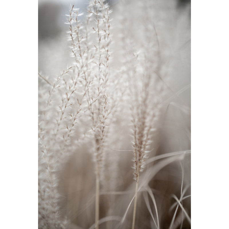 Wrapped Canvas Print, 91.44 cm H x 60.96 cm W