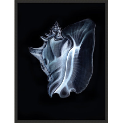 Tidal Blues 4 Print by Art House Studios