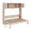Murphy Bed With Storage Cabinets-1915270727
