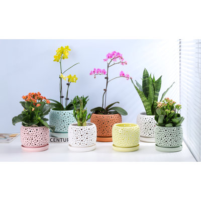 Pot de fleurs en céramique émaillée pastel « Goutte de pluie » pour orchidée - Intérieur/Extérieur