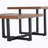 Perfectly Integrating Modern and Scandinavian Styles-Dark Walnut Double-Deck Coffee Table, Dimensions 47*23.5*18.