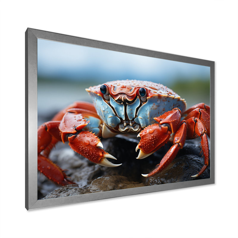 Crab Coastal Guardian sur toile, 12" H x 20" W, Silver Picture Framed