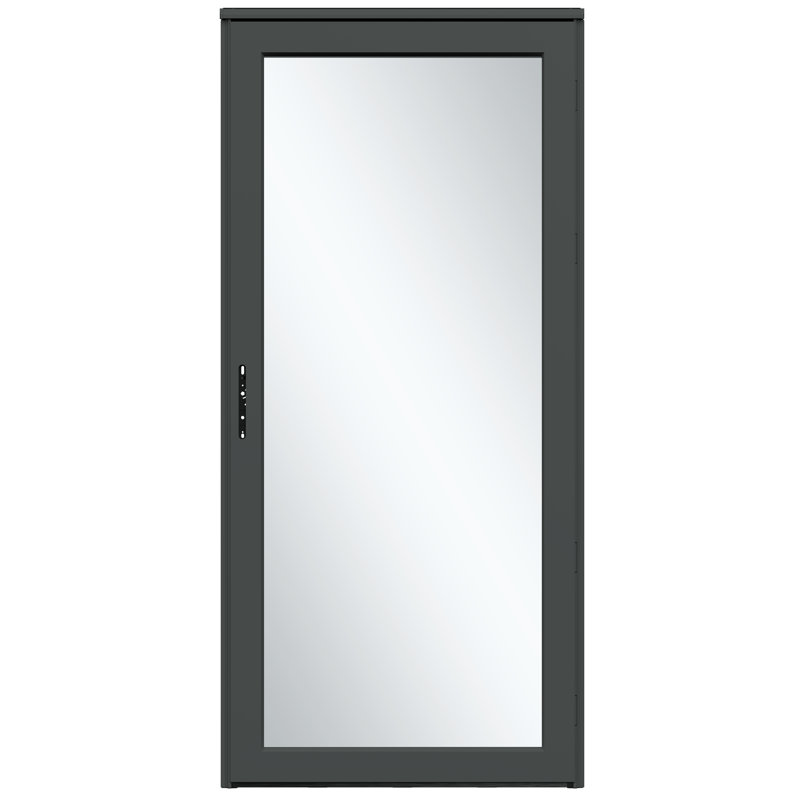 Porte de tempête en verre platine sécurisée (poignée vendue séparément), H 81 po x l 32 po, Graphite