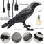  Lampe de bureau Raven-1461513799