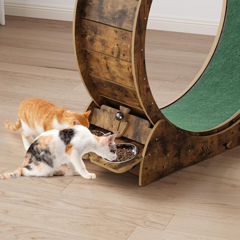 Roue d'exercice 4-en-1 pour chats d'intérieur, grande roue de tapis roulant de 40 po, Brun