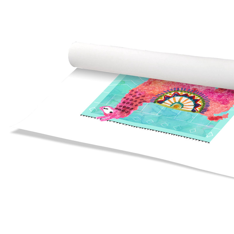 Impression sur papier roulé «Lovely Llama III», H 24 po x l 20 po x P 1 po