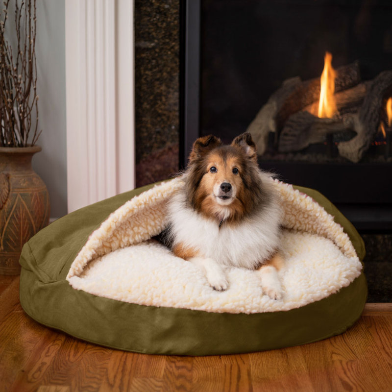 Lit pour chien Snoozer Cozy Cave, Petit (l 25 po x P 25 po x H 12 po), Olive