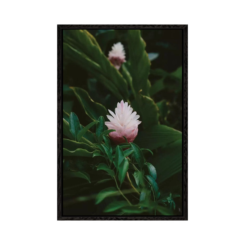 Tropical Hawaii IX by Bethany Young - Print on Canvas, 101.6cm H x 66.04cm W x 3.81cm D, Black Framed