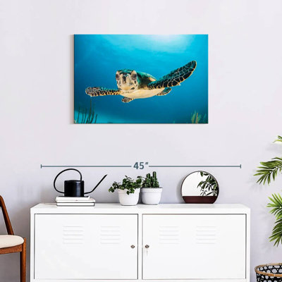 Tortue sous-marine Brampt