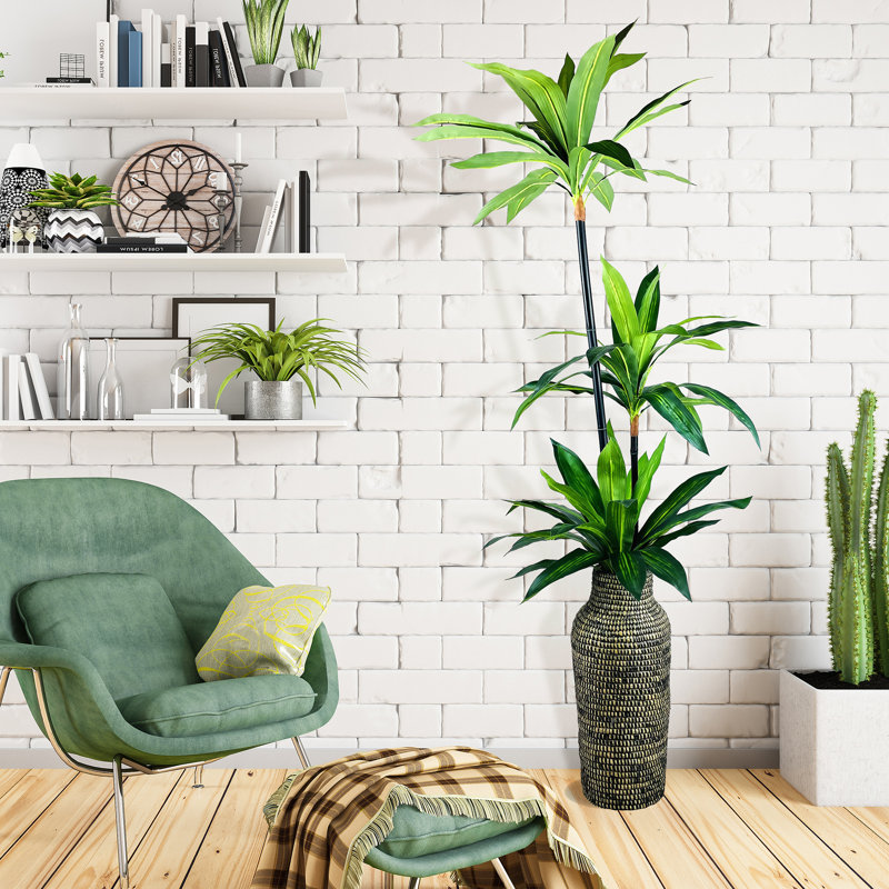 72 po Faux Dracaena