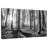 Harnek Forest Sunshine BW-106322084