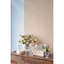 Vases - ensemble de 2 - transparent