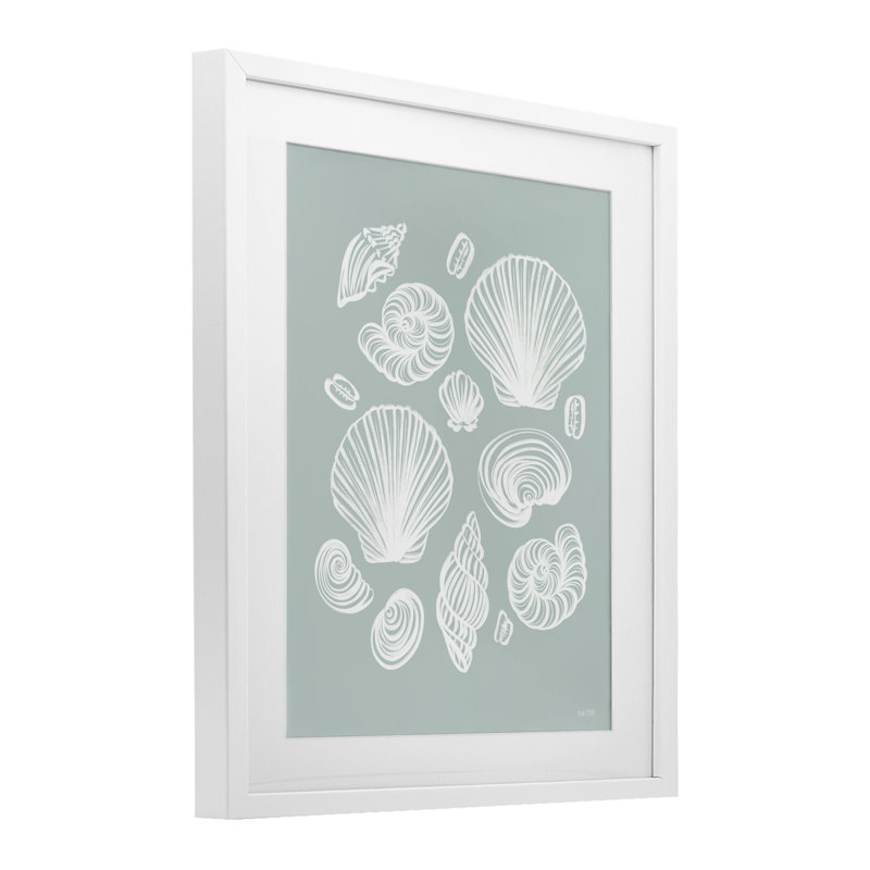 «Tossed Sea Shells», reproduction sous verre encadrée, conçue par House Fenway, H 21 po x l 17 po, Cadre blanc côtier