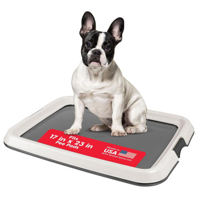  Leakproof Dog Pad Holder with Non-Skid Base, Latching Sides, Dark Gray
