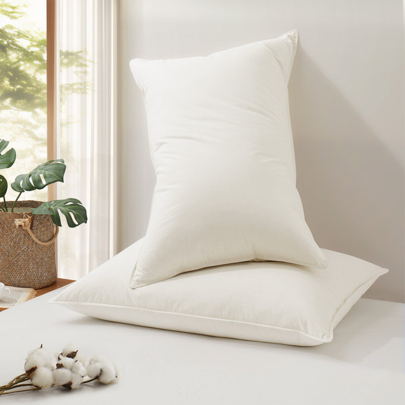  Reversible Pillow Insert, 20"H x 26"W