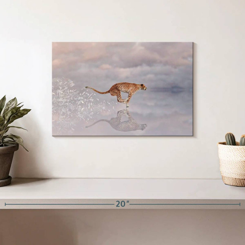 Chat sauvage Brampt