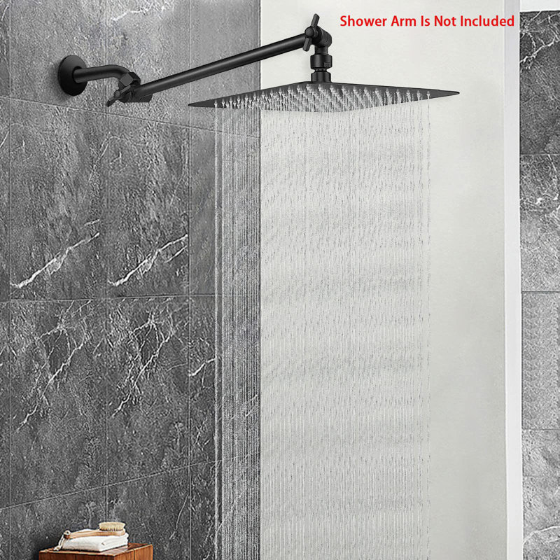 Rain Adjustable Shower Head 2.5 GPM GPM, Matte Black