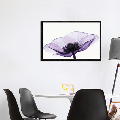 Anemone II - Print on Canvas