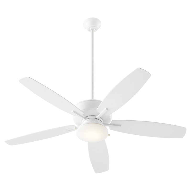 Braylie 52'' Ceiling Fan with LED Lights, White