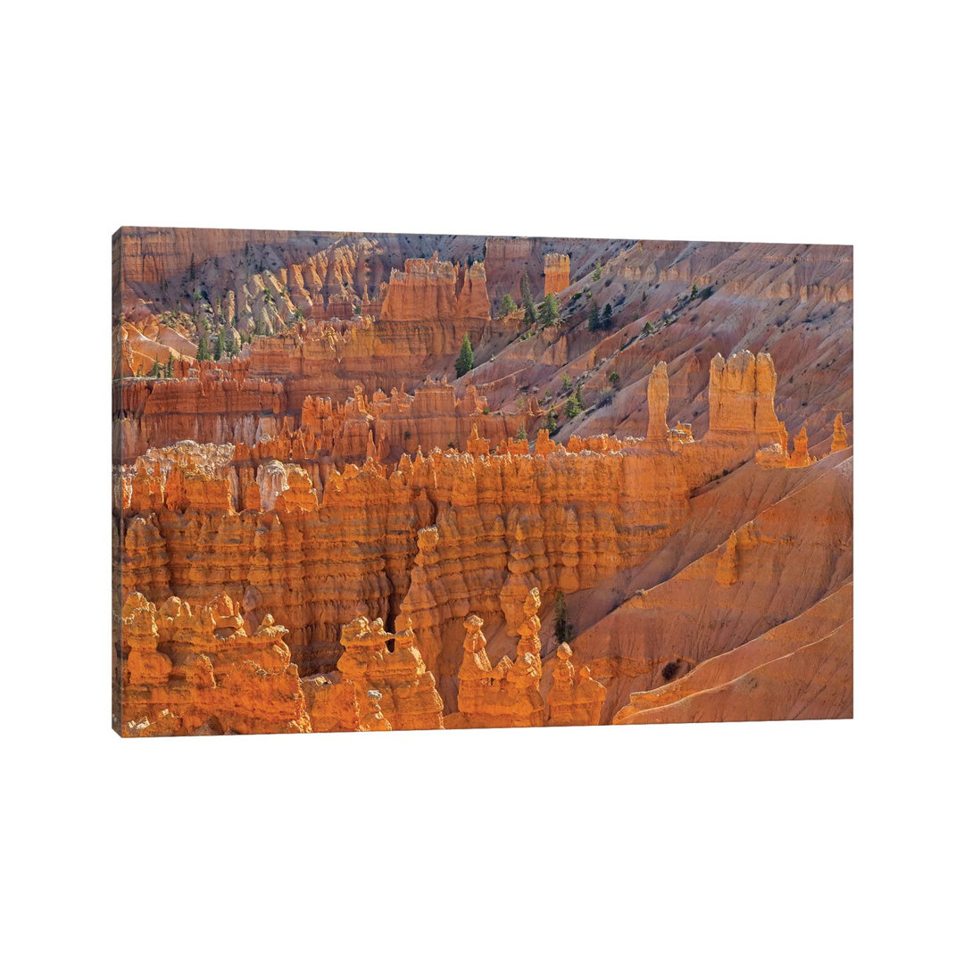 Utah, Bryce Canyon National Park. View Of Canyon With Hoodoos by Jamie & Judy Wild - Wrapped Canvas Print