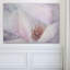 « magnolia melody ii », reproduction d’art sur toile tendue-28472675