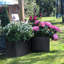 Planter Box-616968465-616968744