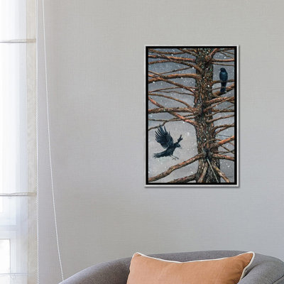 " Corvus Corvidae And The Cedar " by Maggie Vandewalle